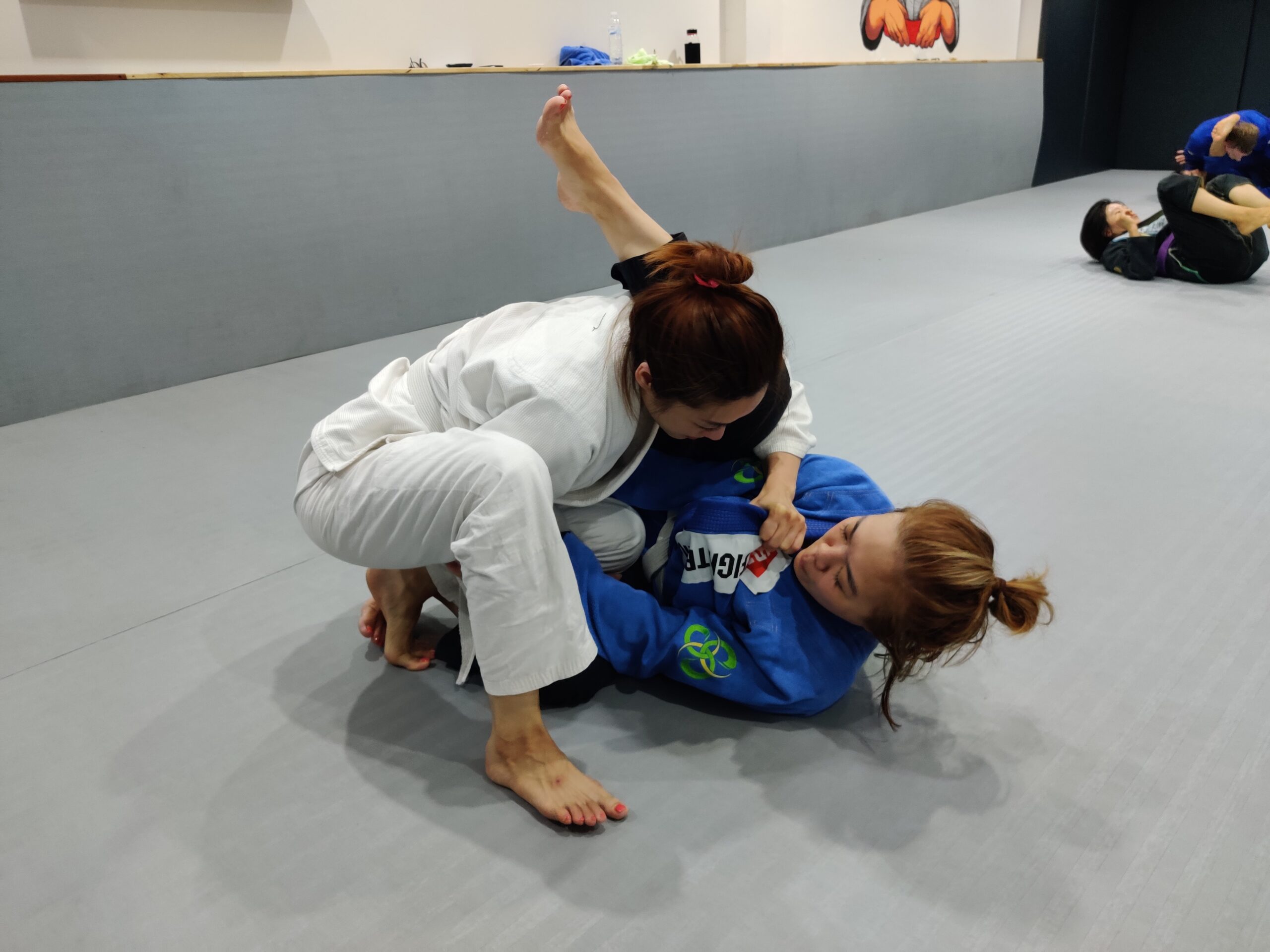 Brazilian Jiu-Jitsu training and instruction at Pure Grappling