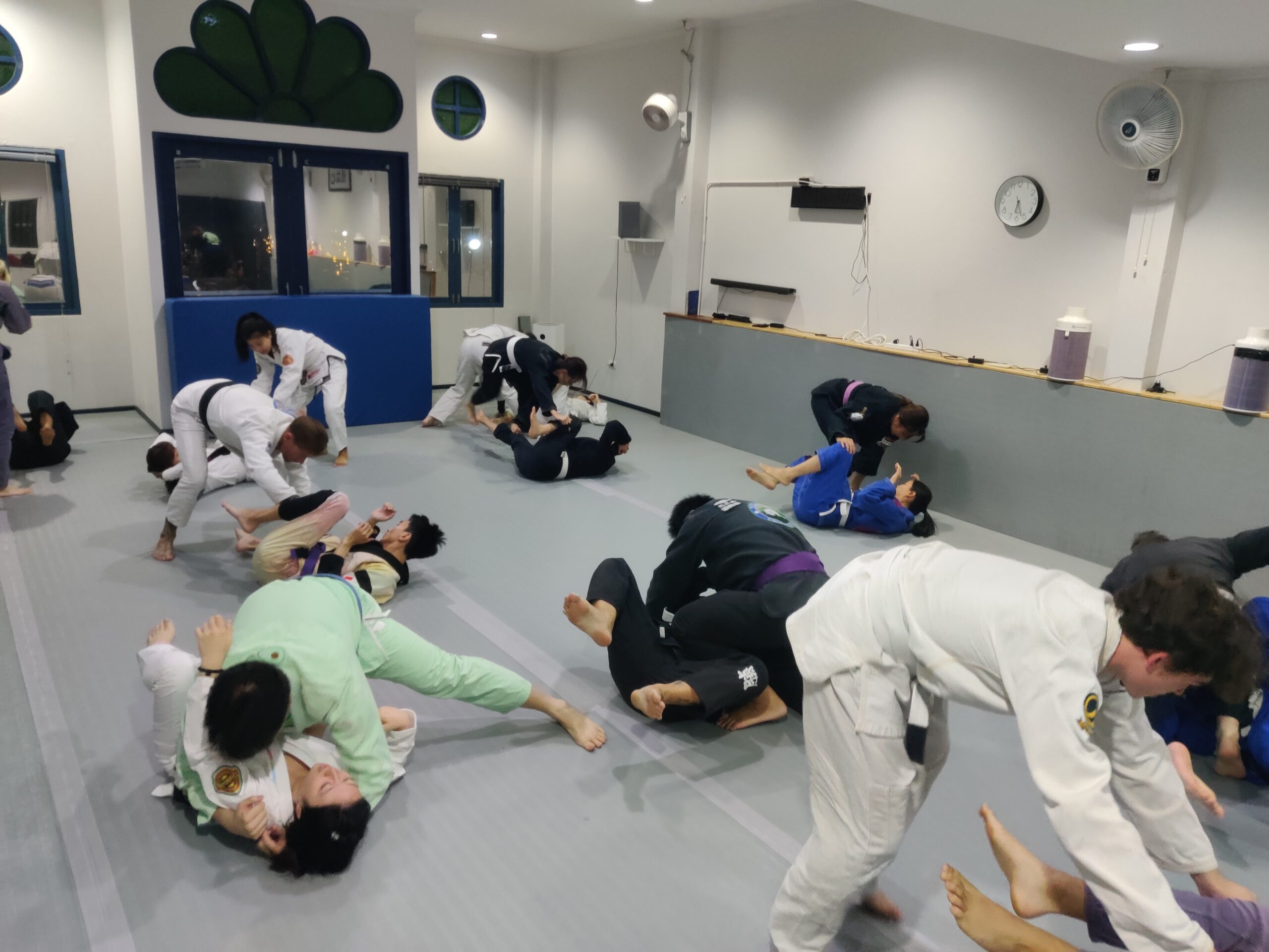 Brazilian Jiu-Jitsu class training