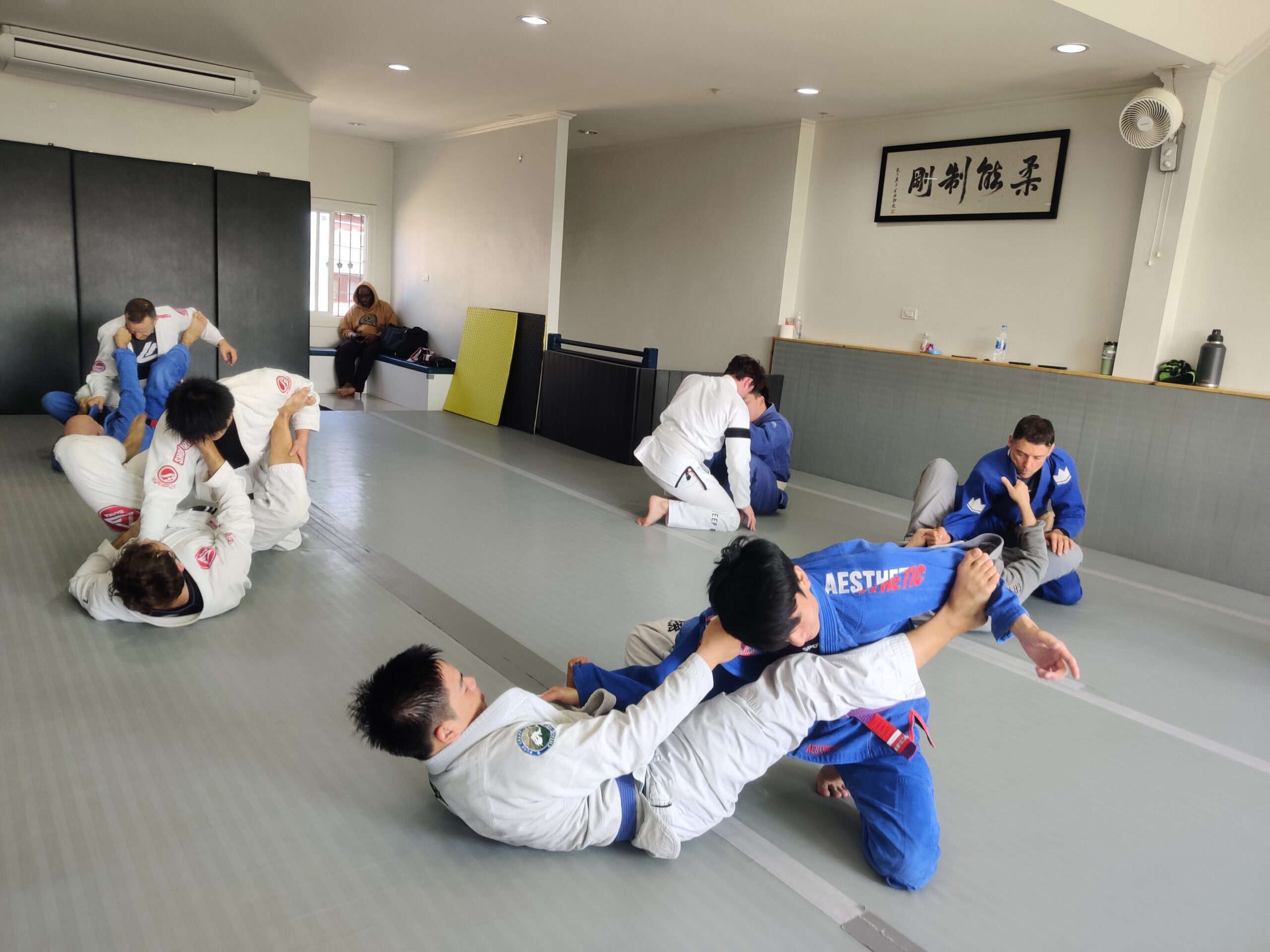 Grappling practice at Pure Grappling Chiang Mai